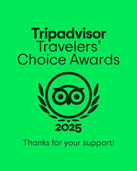 TC L travelers choice 2025